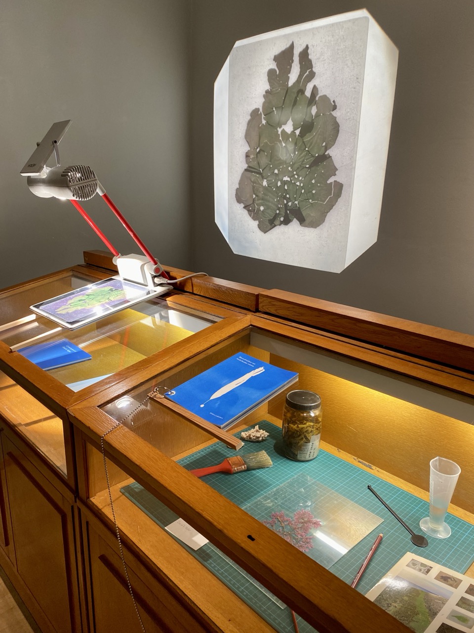 Vitrine bij de presentatie in Het Natuurhistorisch te rotterdam, 2022