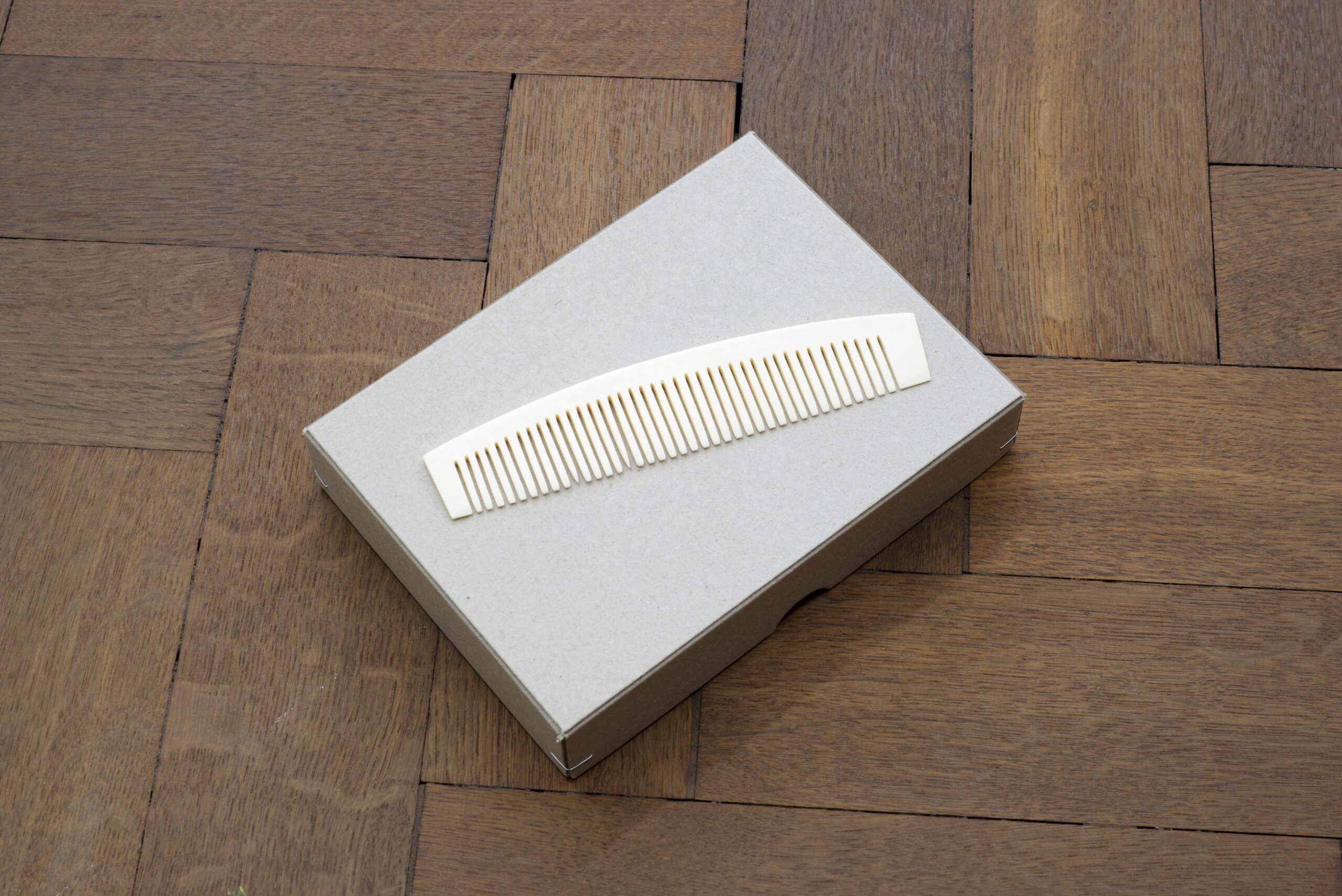 Flower, dew, 2021, two sharpened teeth on a comb, 15 x 3,2 x 0,5 cm