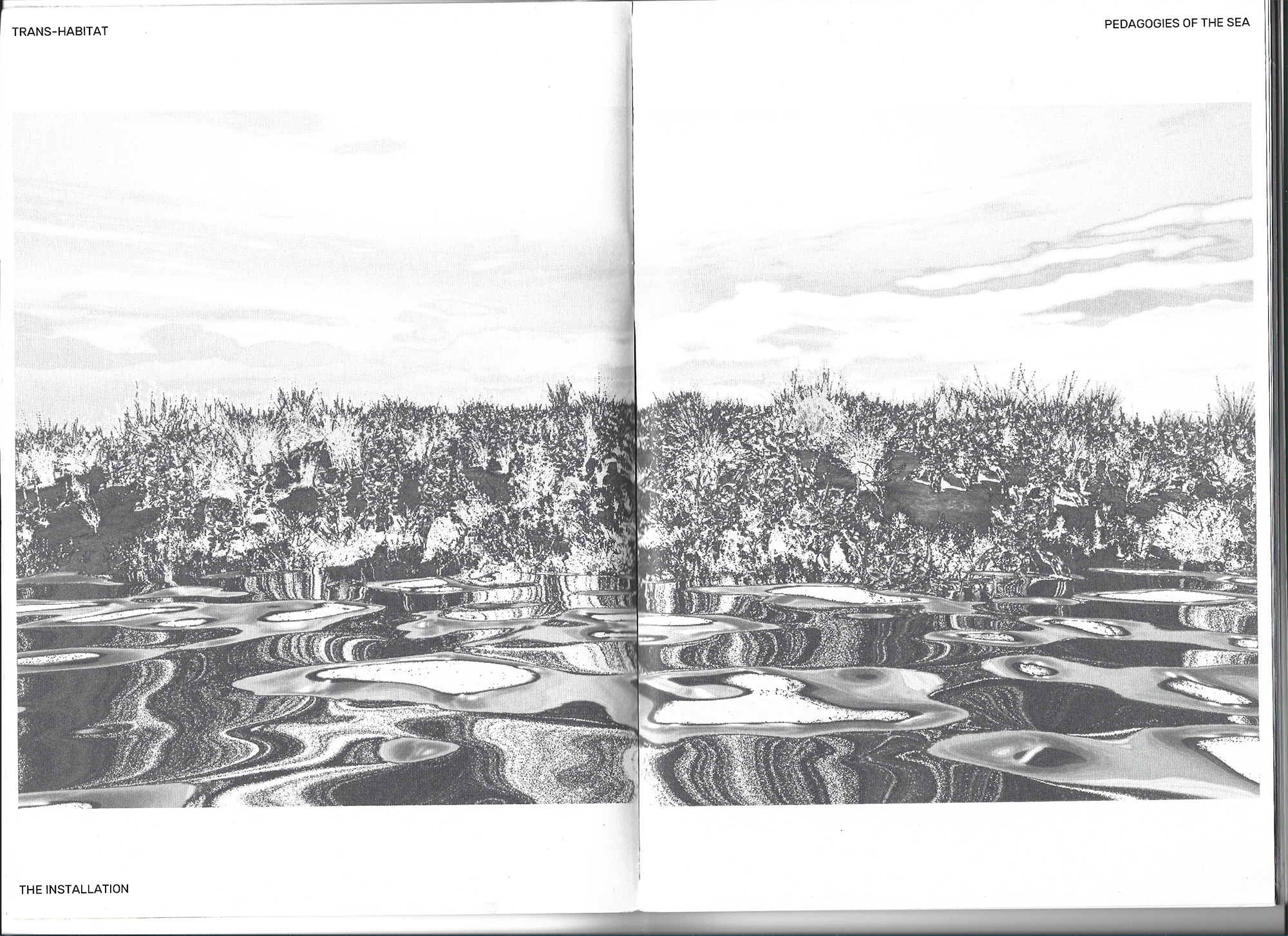 Transhabitat, publication
