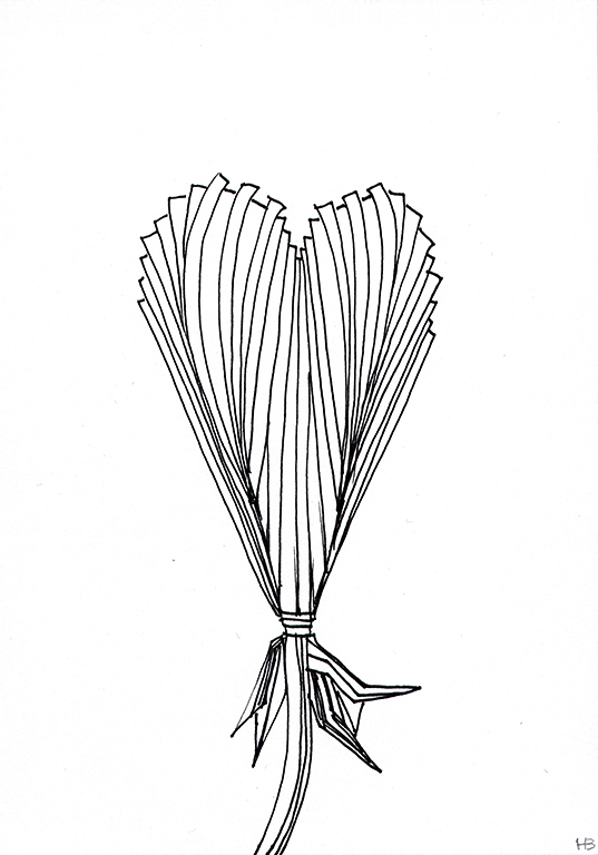daily drawings