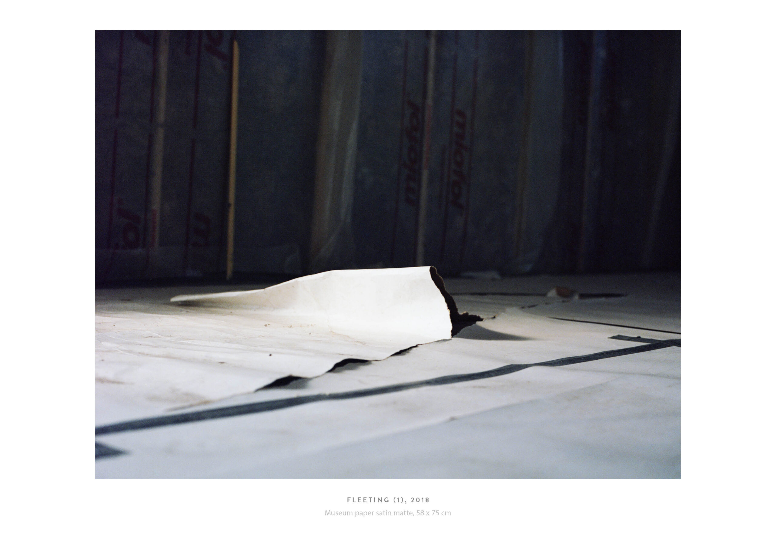 Encounter, 2019