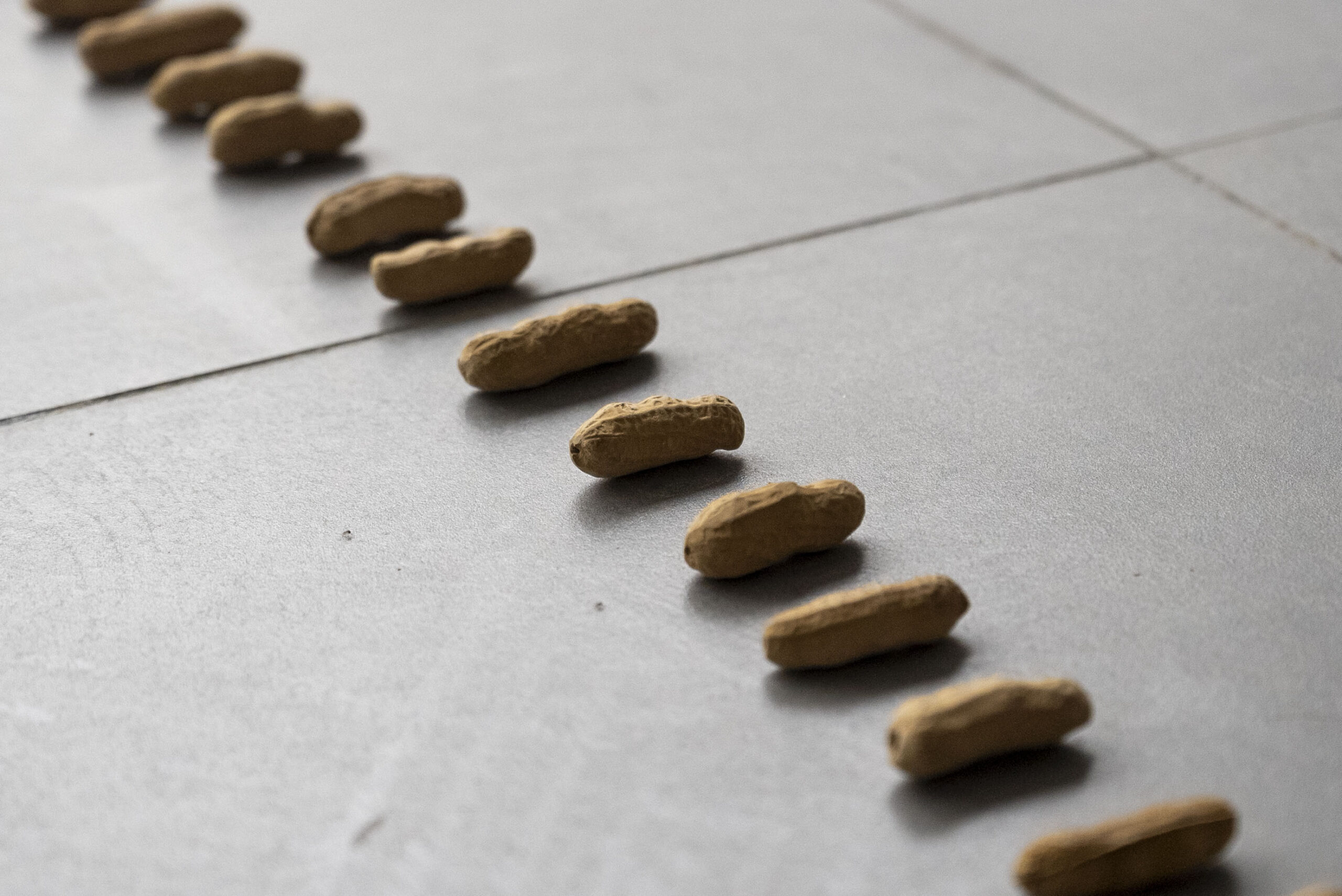Peanut a day