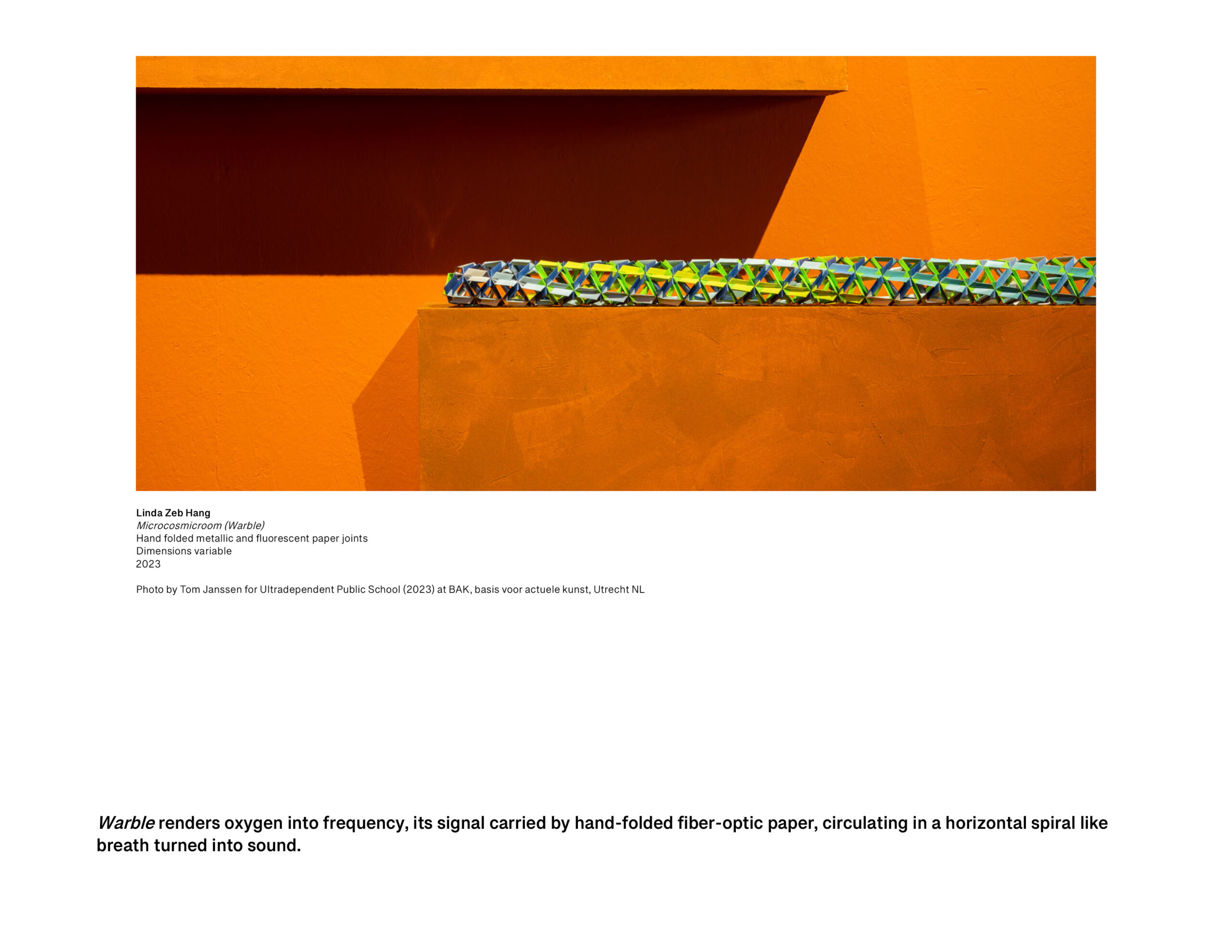 The Microcosmicroom (Warble)