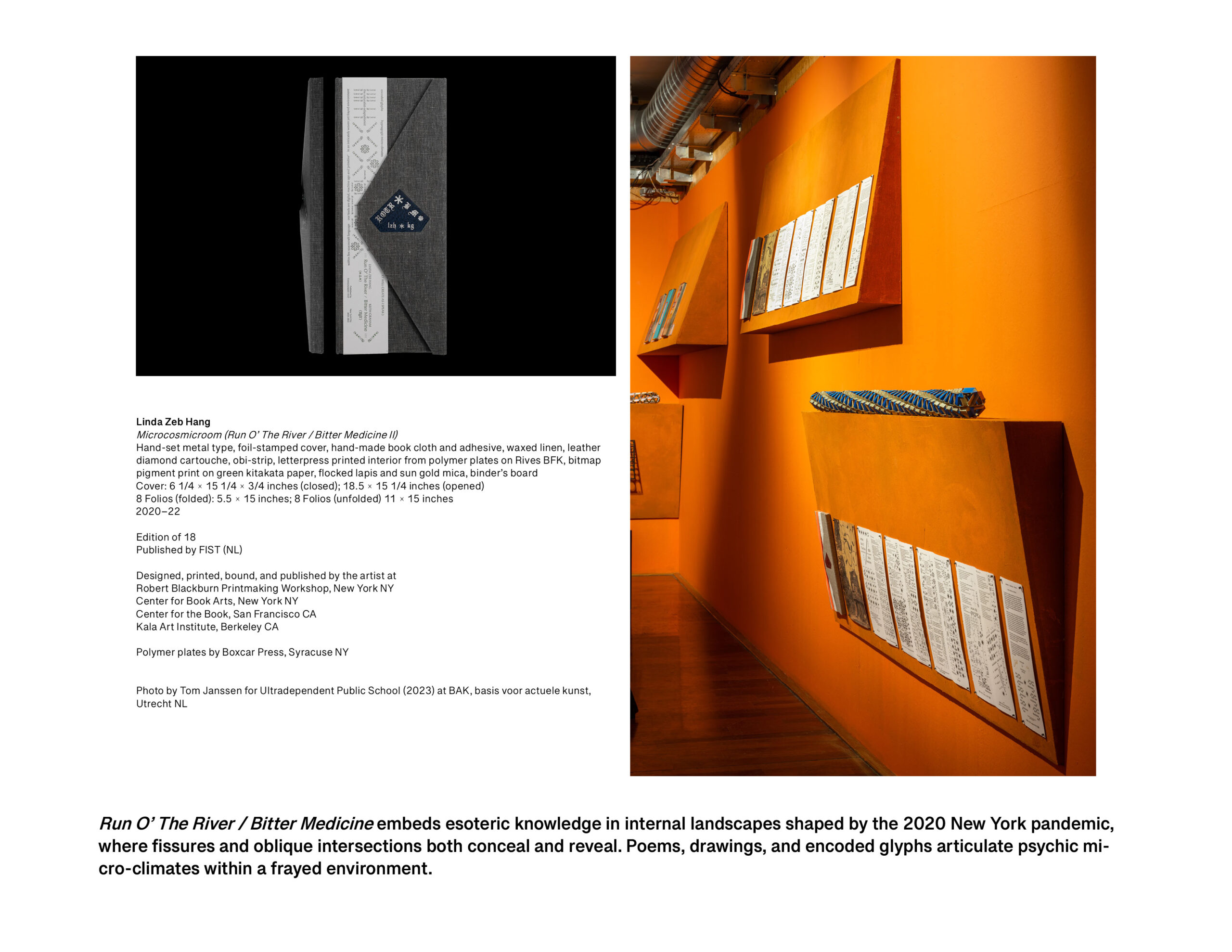 The Microcosmicroom (Run O’ The River / Bitter Medicine II), 2023