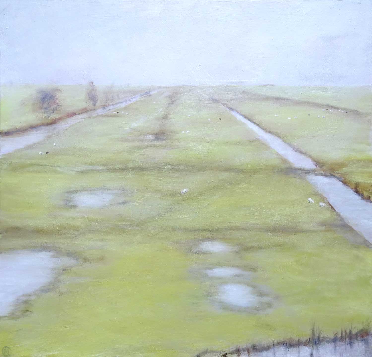 Regen in de polder