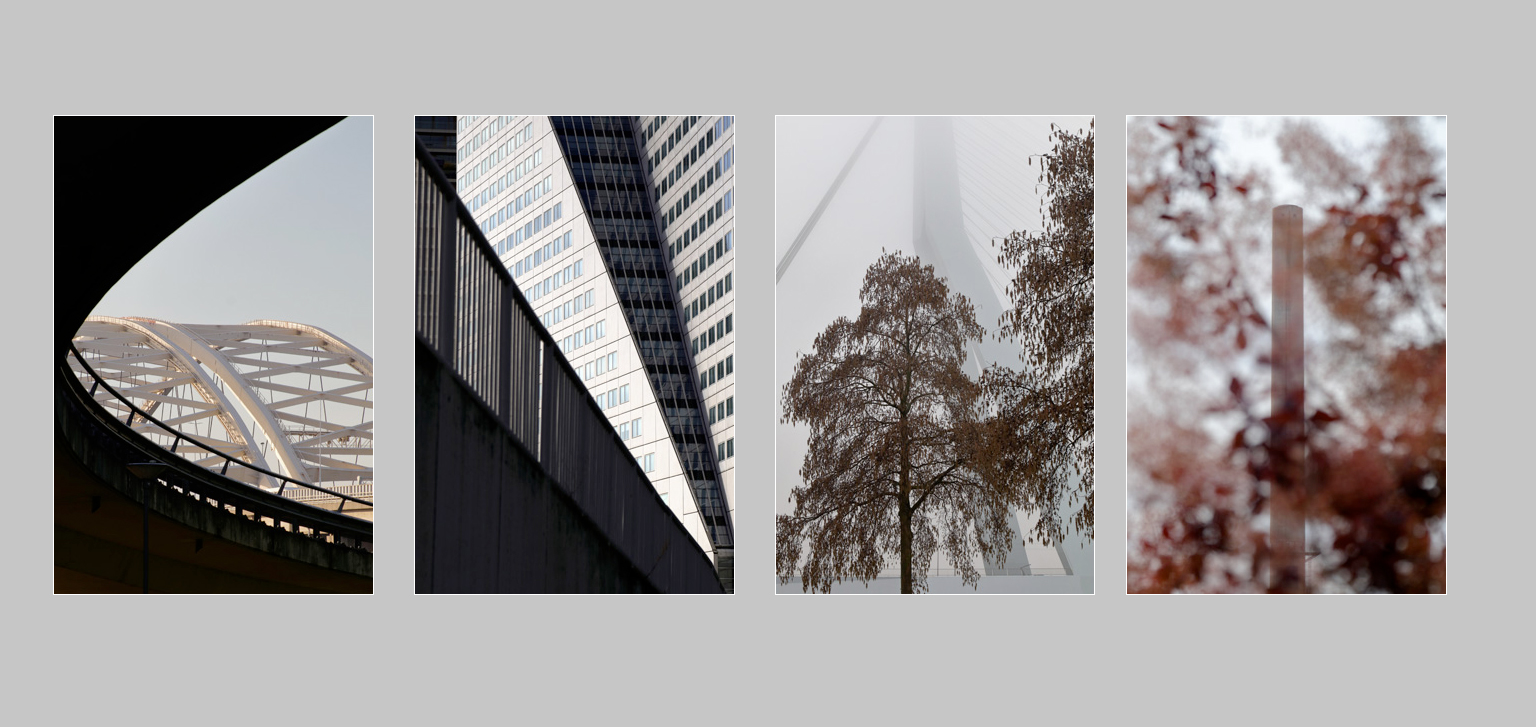 Rotterdam Lichtgevoelig