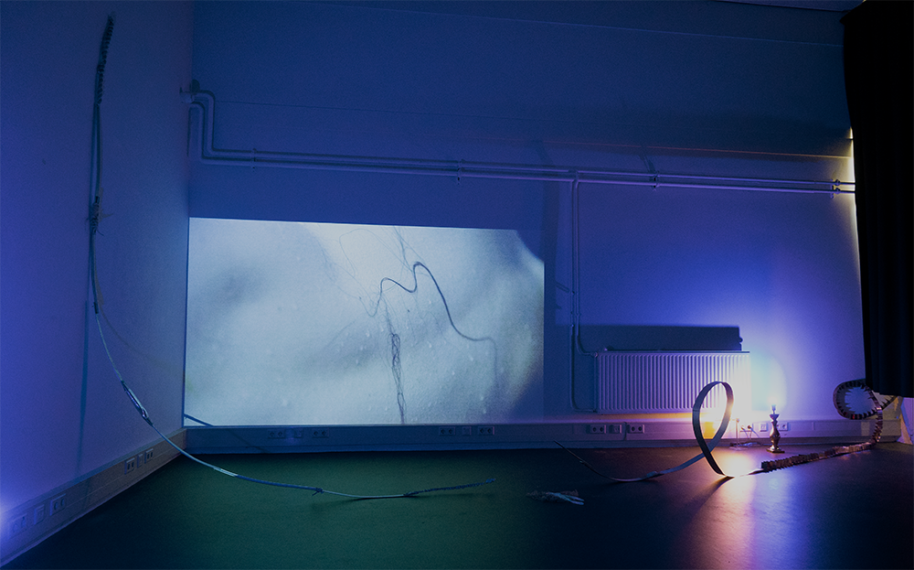 leaving the tributary (2024)