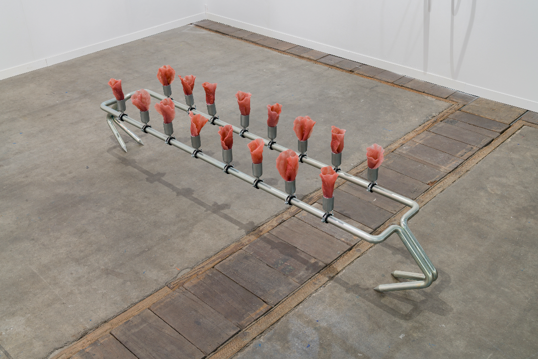 Blooming Flowers (2025)