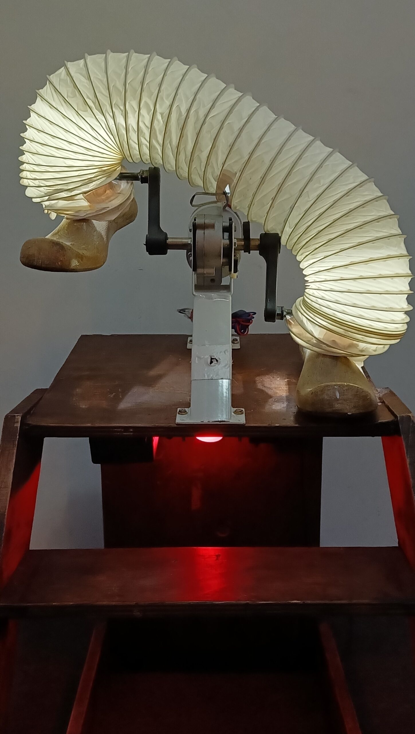 014 Kinetische installatie: Walking the dog
