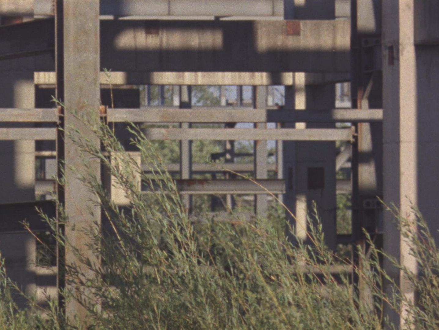 The Close River, 27m, 16mm transferred to digital, 2020