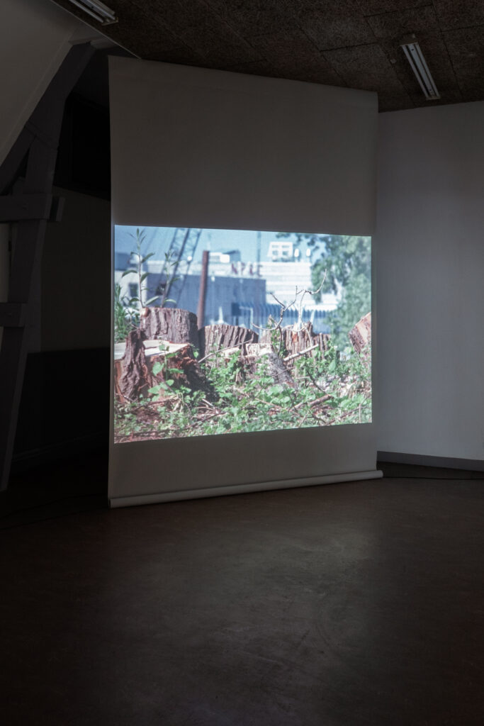 Forces (with Marta Hryniuk),  11m,16mm transferred to digital, 2020