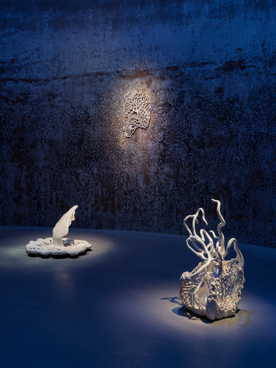 My Body is a Plant_Henbane