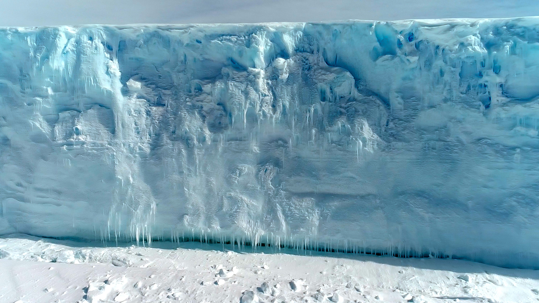 The Antarctic Gardener