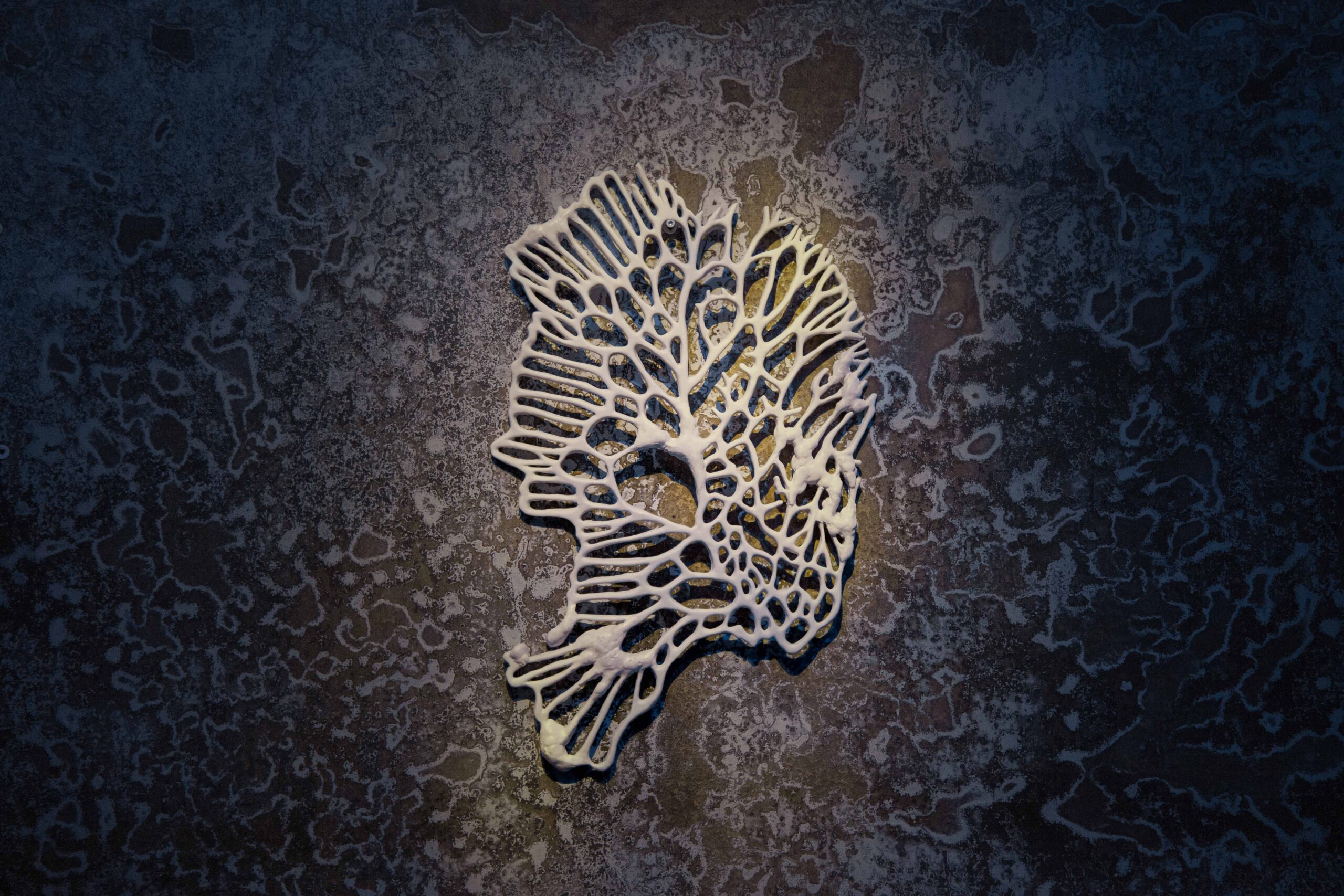 My Body is a Plant_Innervations