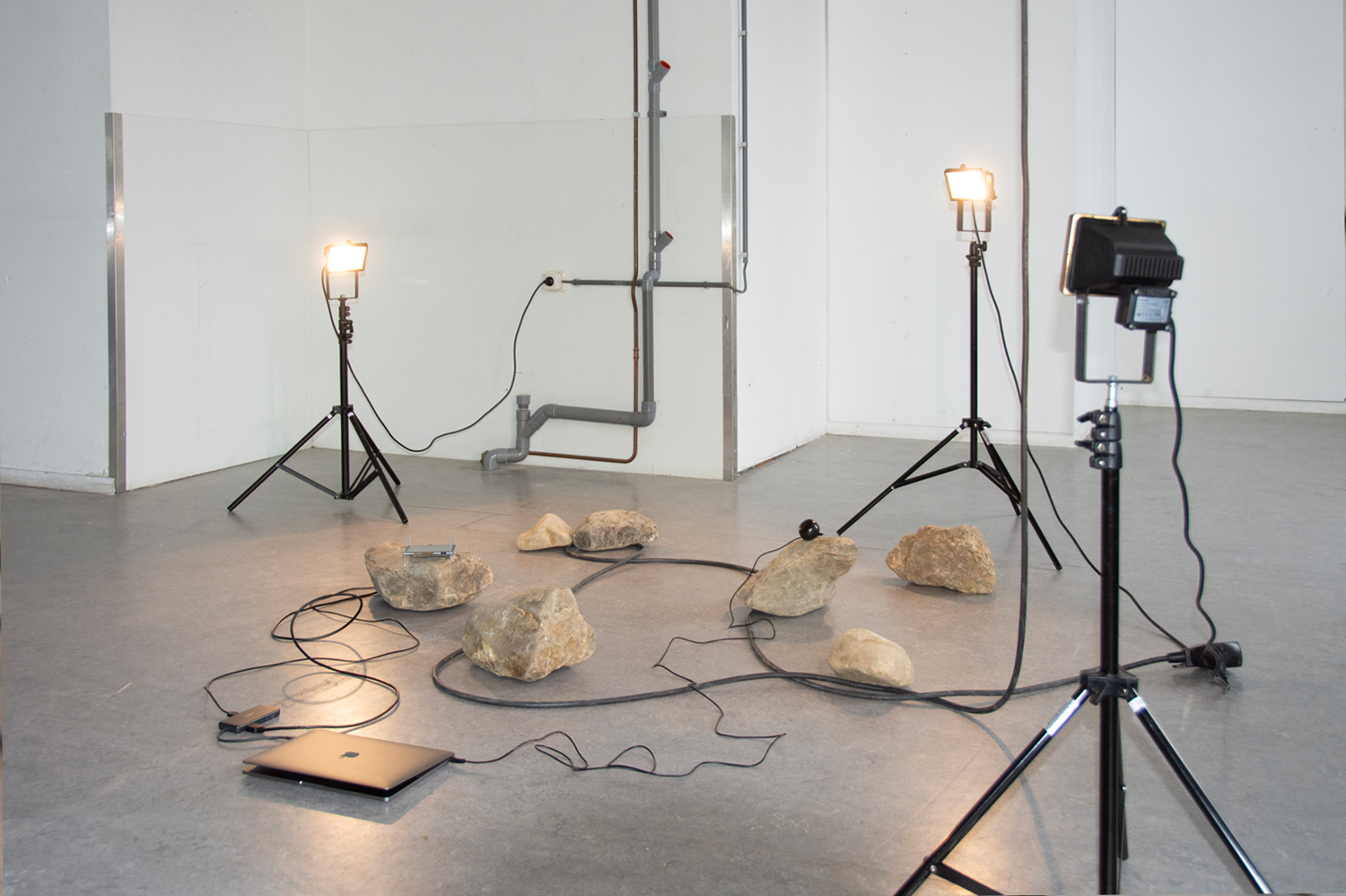 Caught In Listening To Rocks (2023-2024), multimedia installation