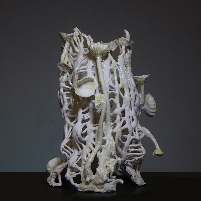 MICROGRAVITY LANDSCAPE