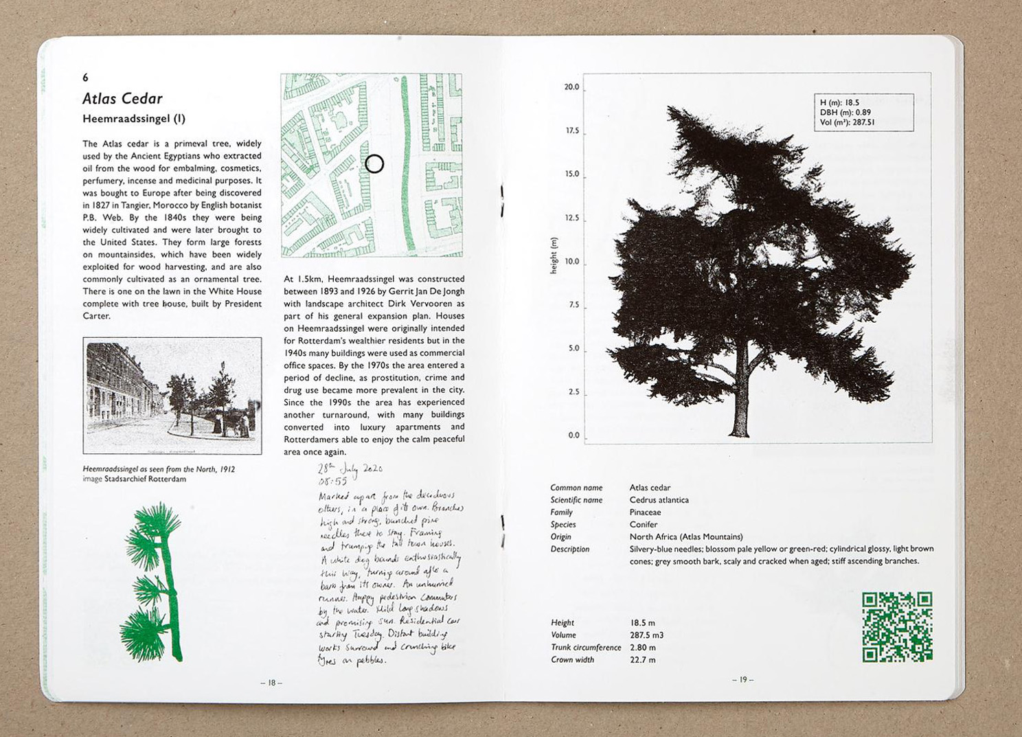 Fourteen Trees of Rotterdam (2021)