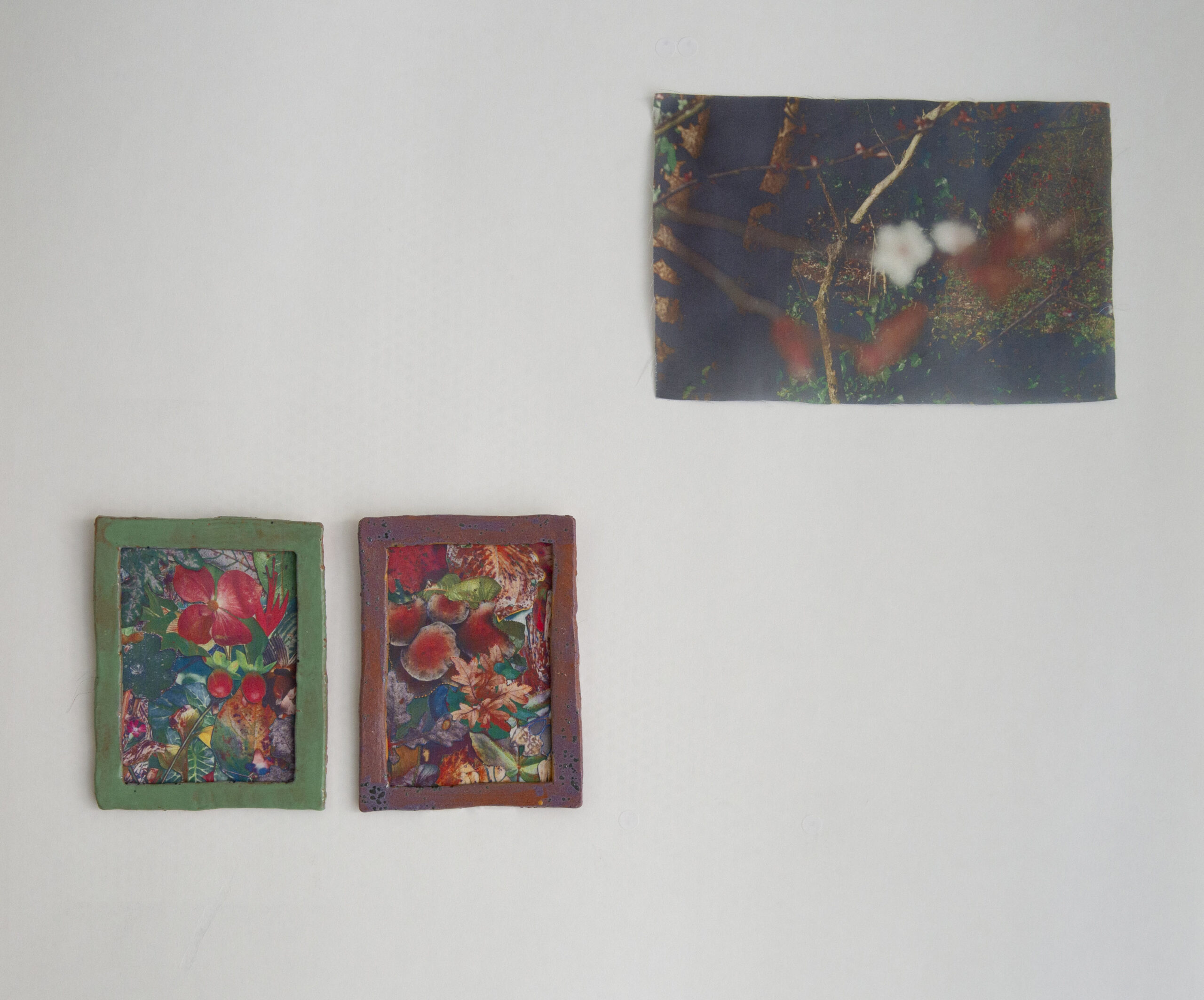 Floral Encounter (working title)