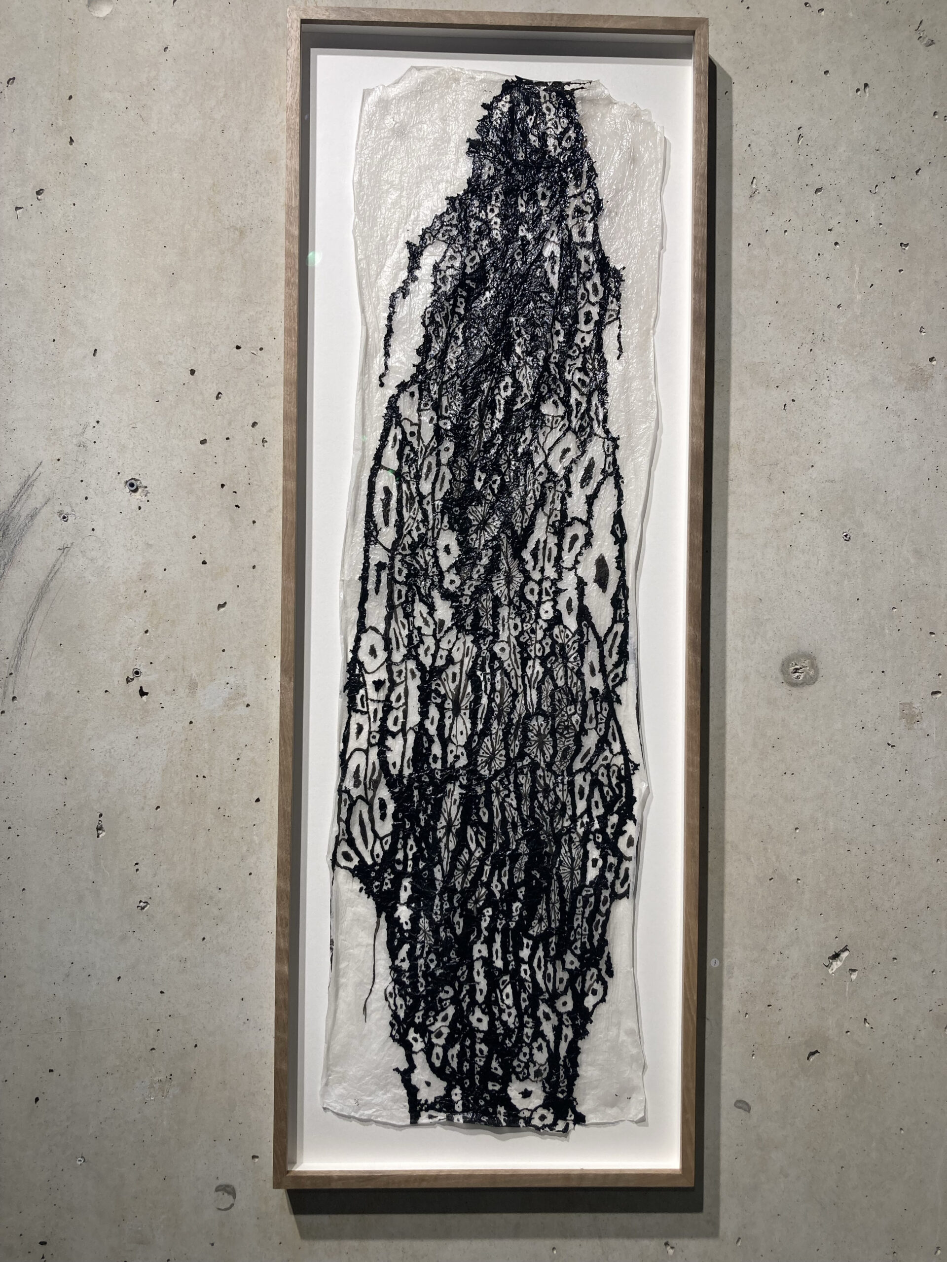 #1.10 .2022 ELUSIVE BEAUTY  black ink on silk tissue paper,  framed in dutch durable walnut