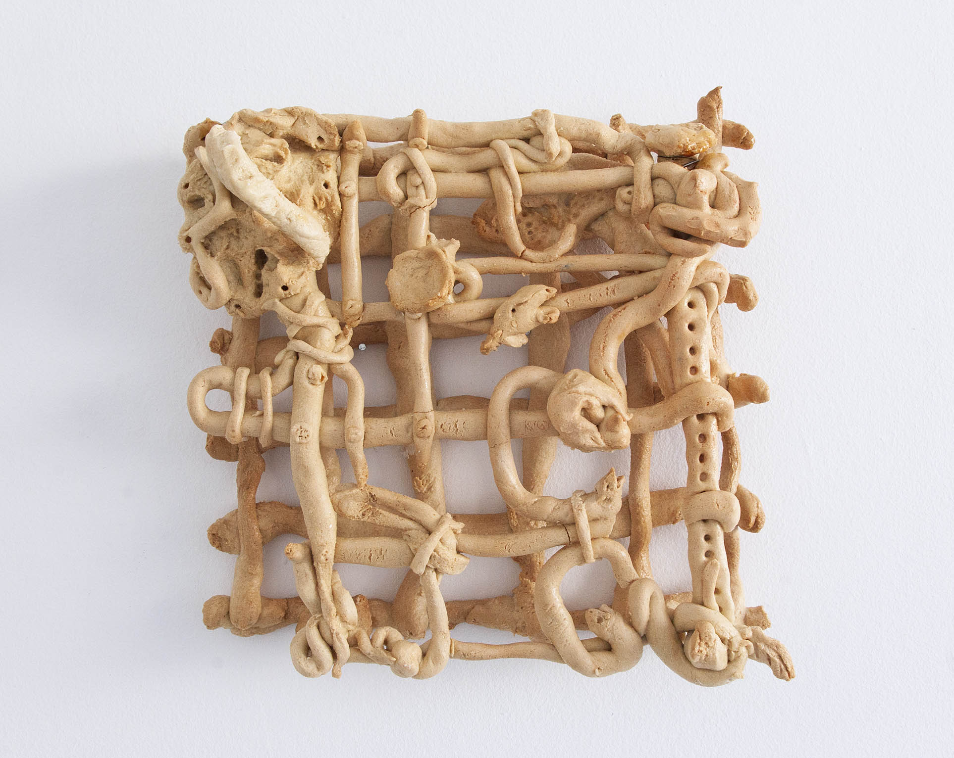 TURNING SNAKES INTO GOLD