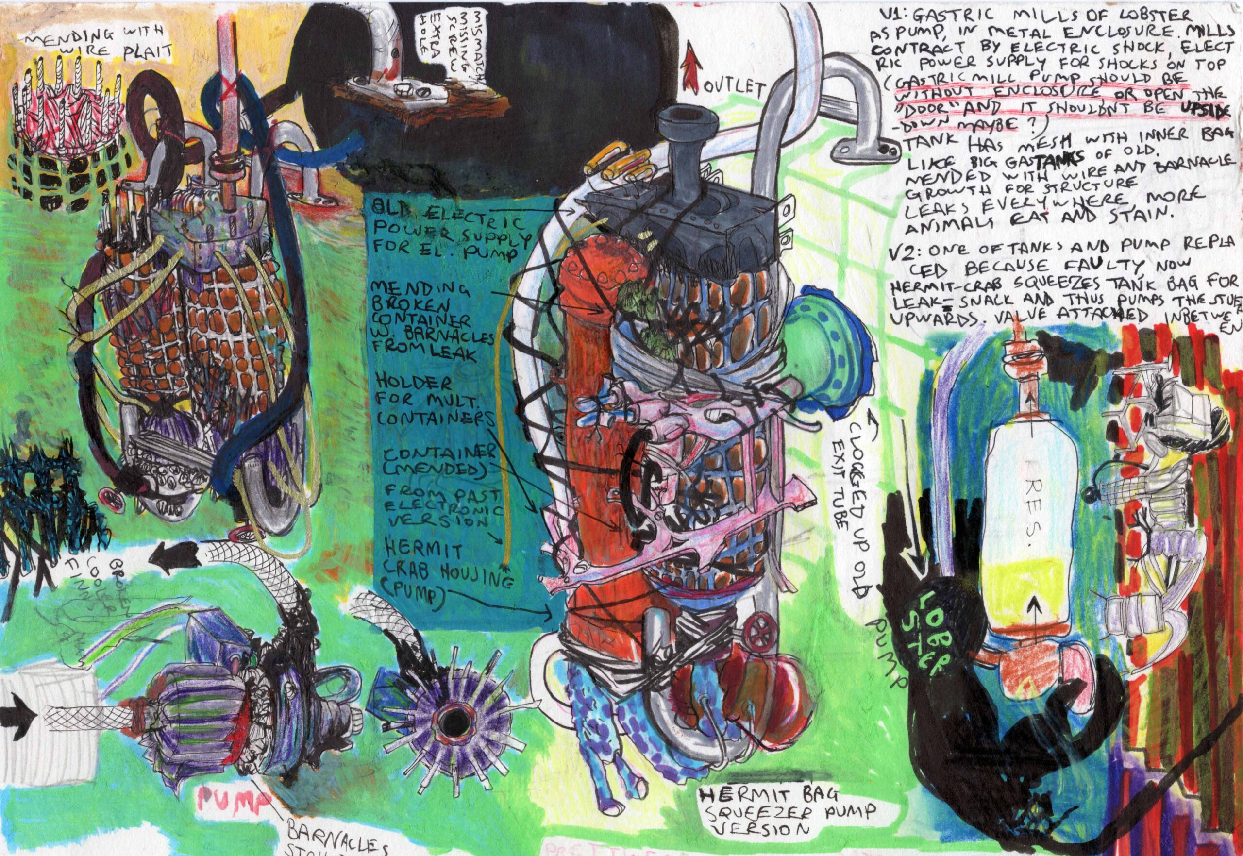 Sketch for urine filtration repairs with barnacles and hermit crab (2024)