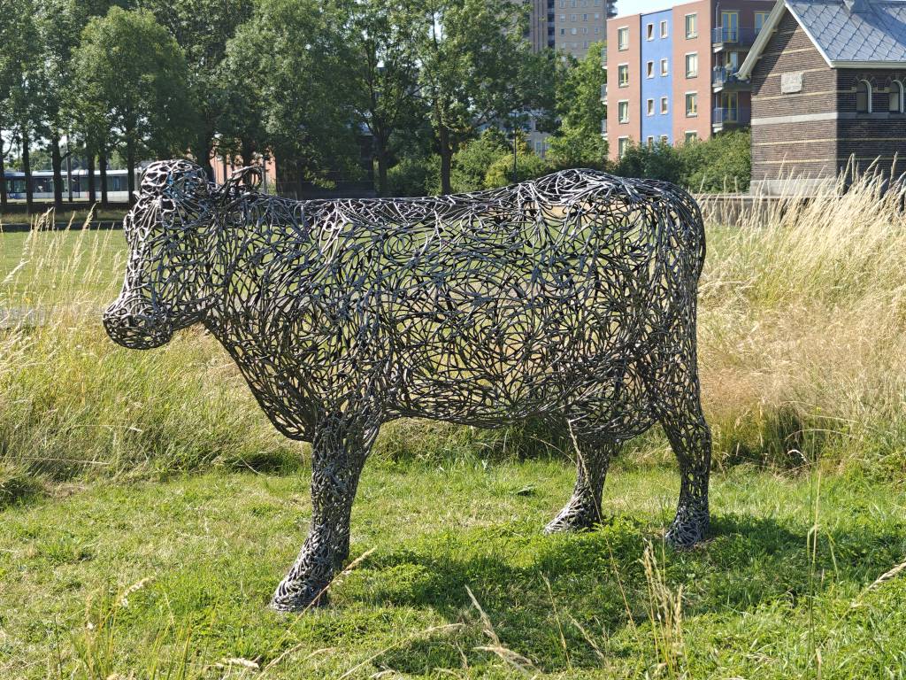 Cows public art in Kralingen, Rotterdam
