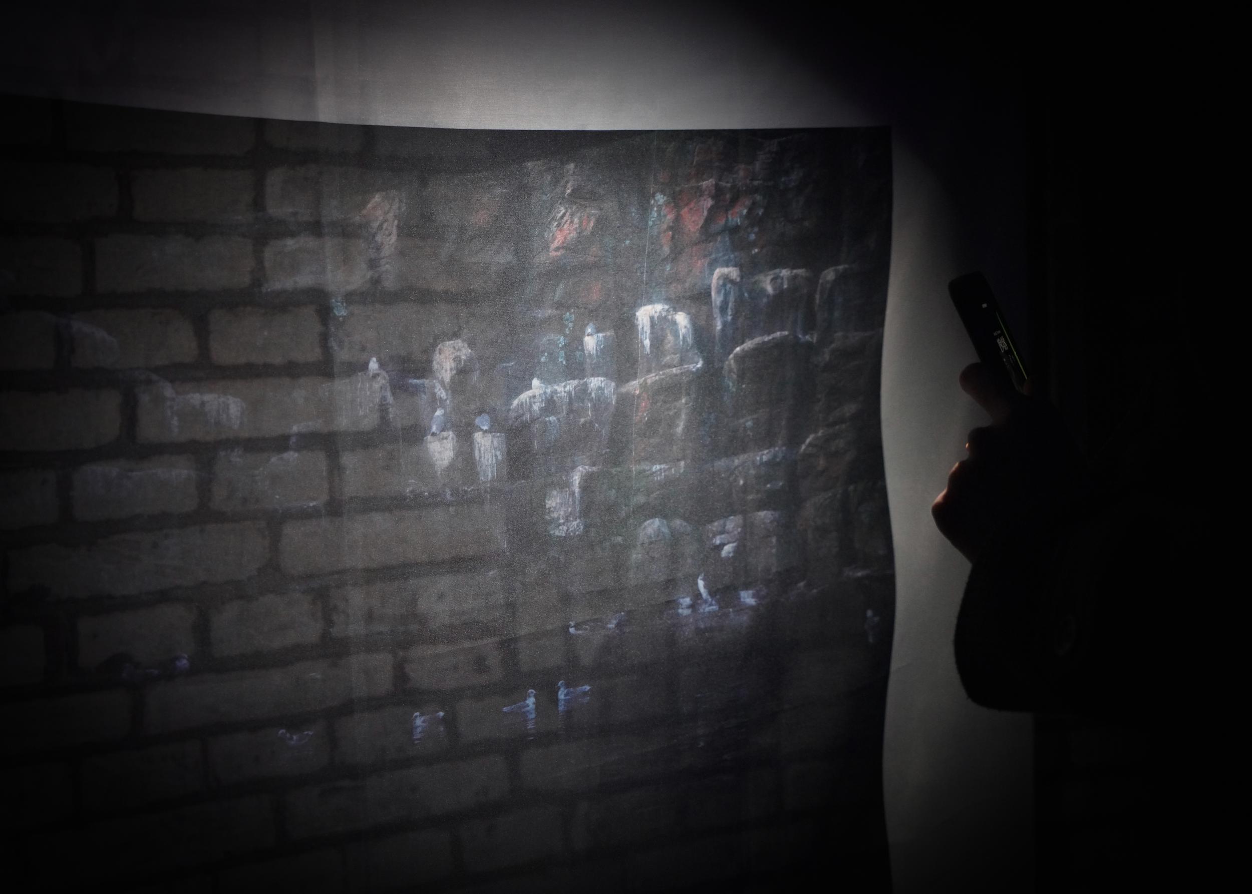 I’ve Never Heard a Swan Song