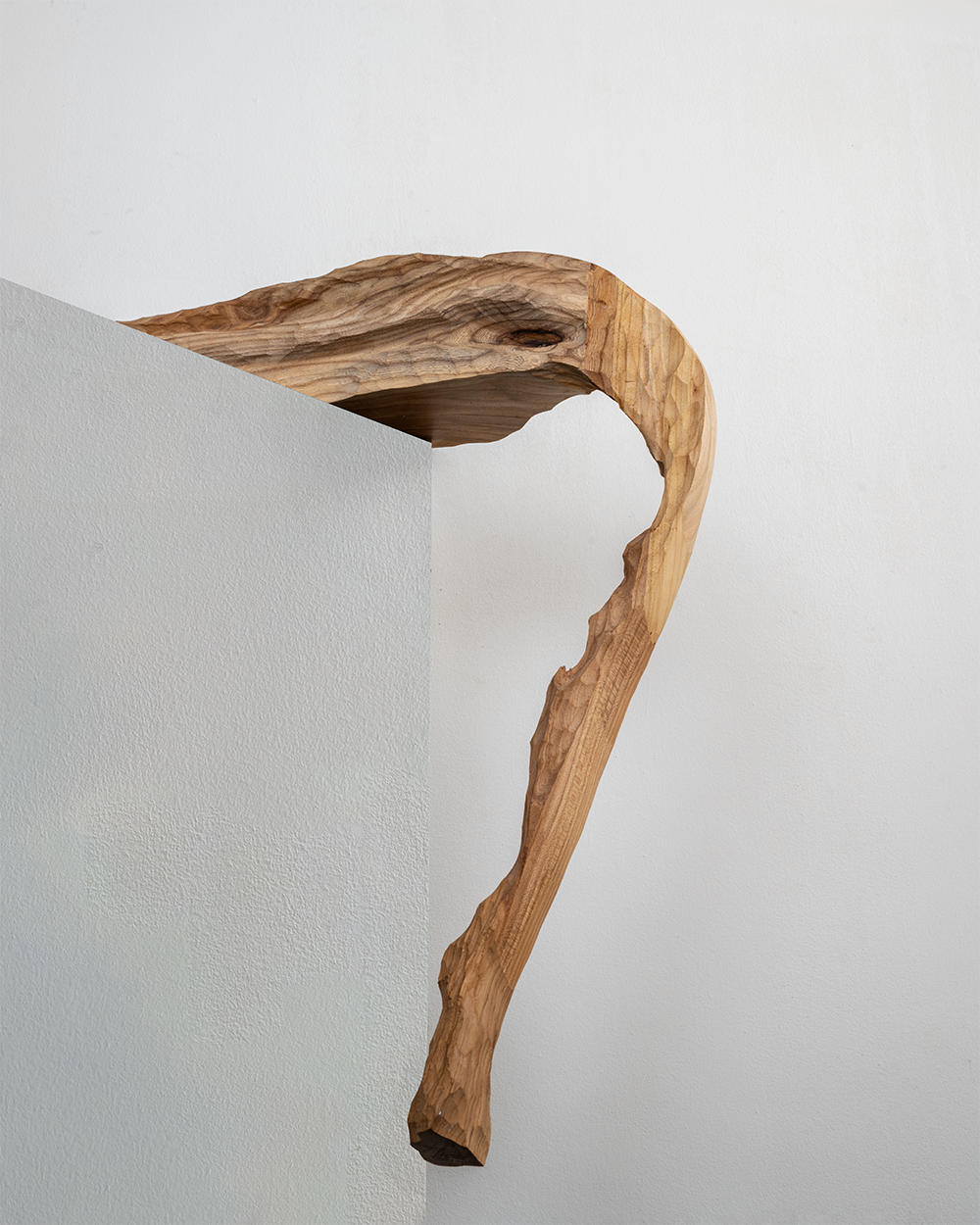 tail