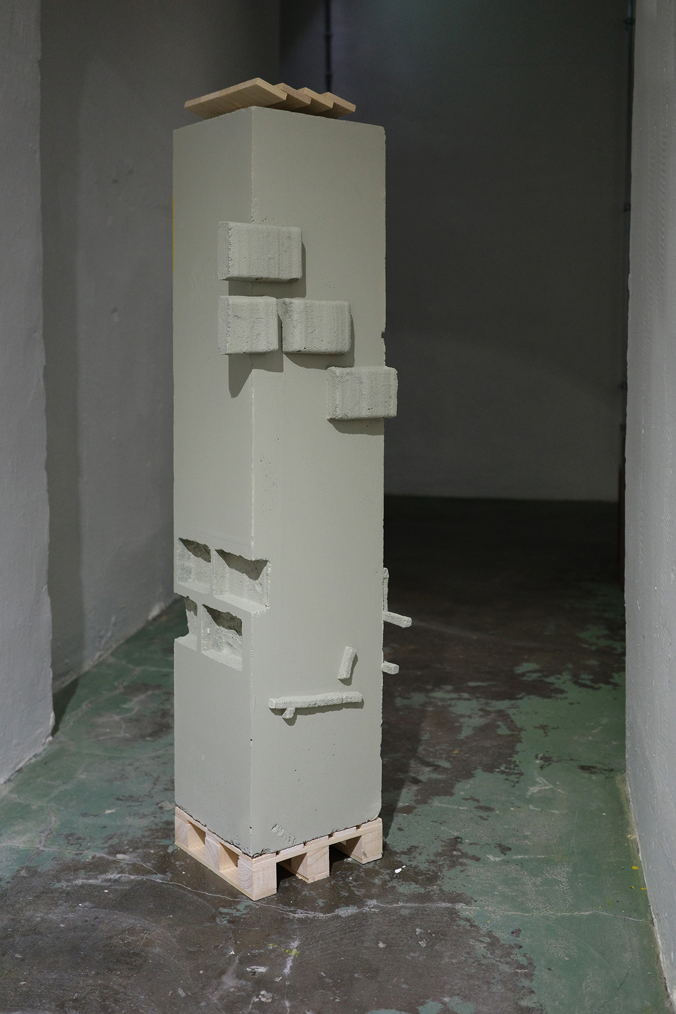 Schut