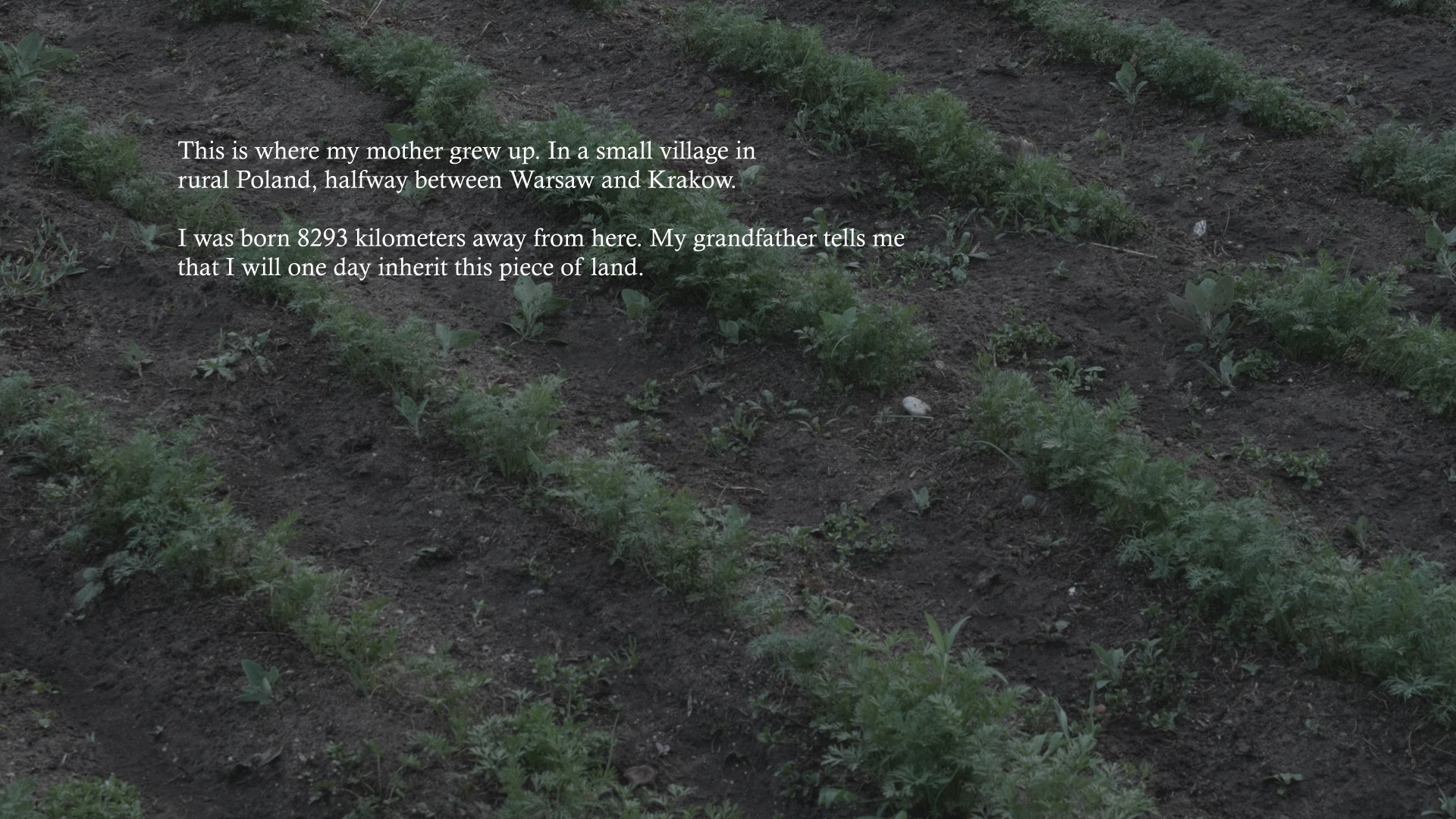 Will Thy Kingdoms Not Persist