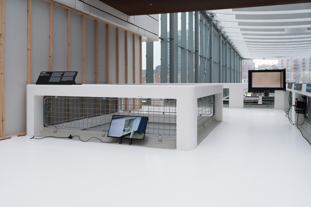 bodily metaphors of various kinds, 2023