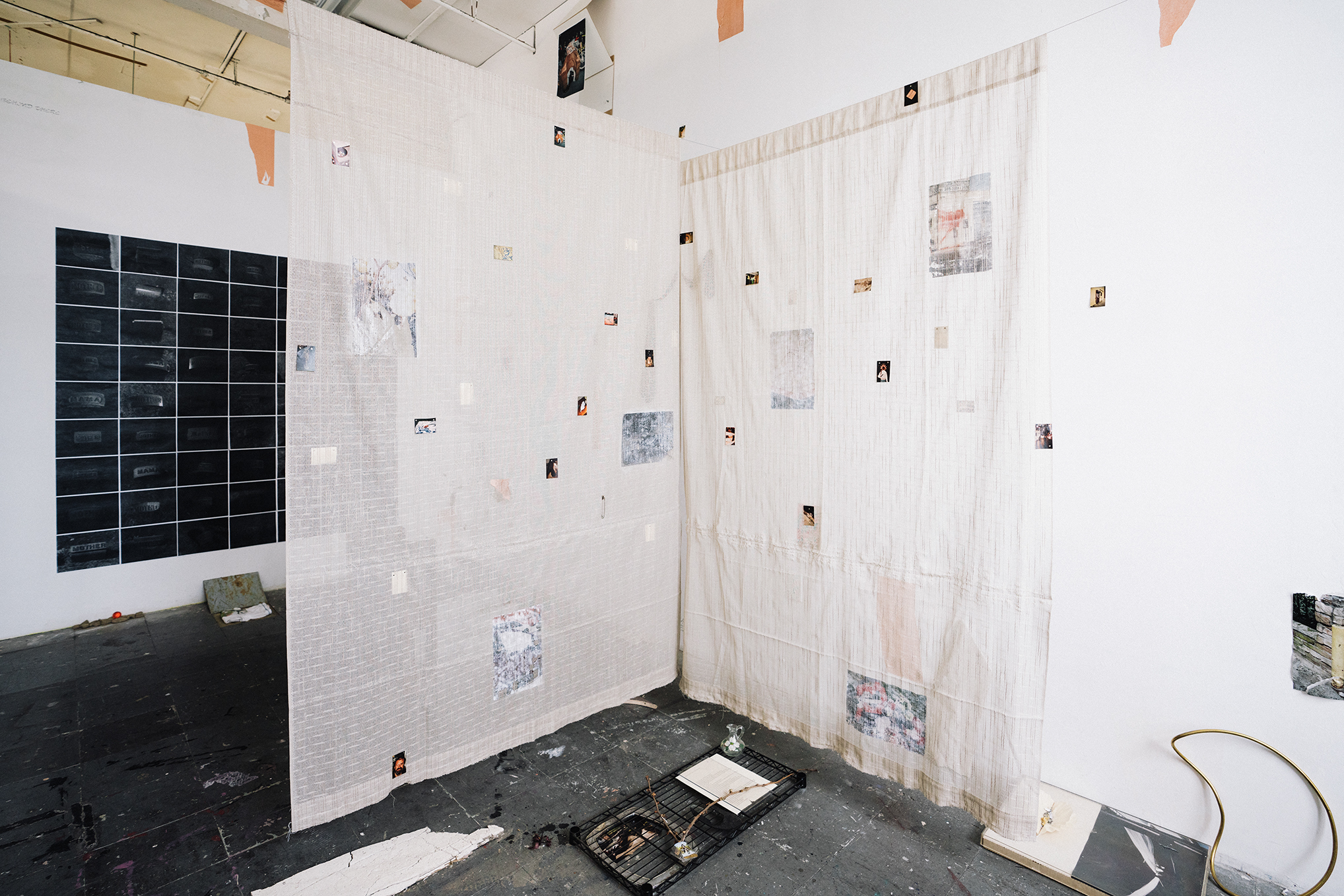 a constellation of freckles, 2025