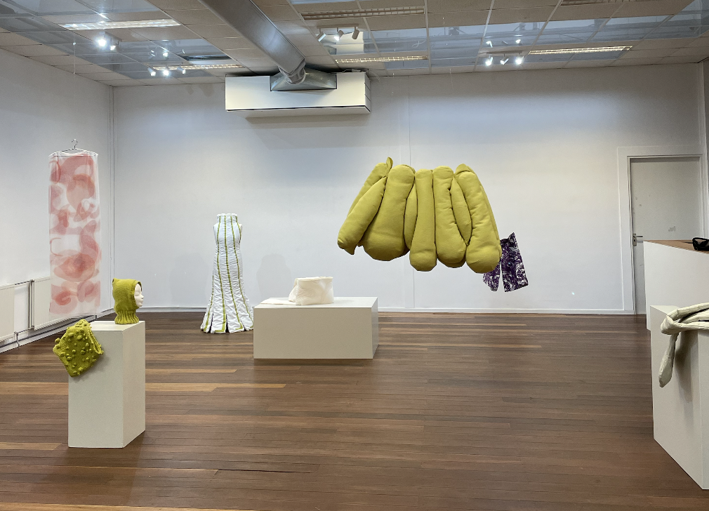Solo expositie bij Nieuw Charlois