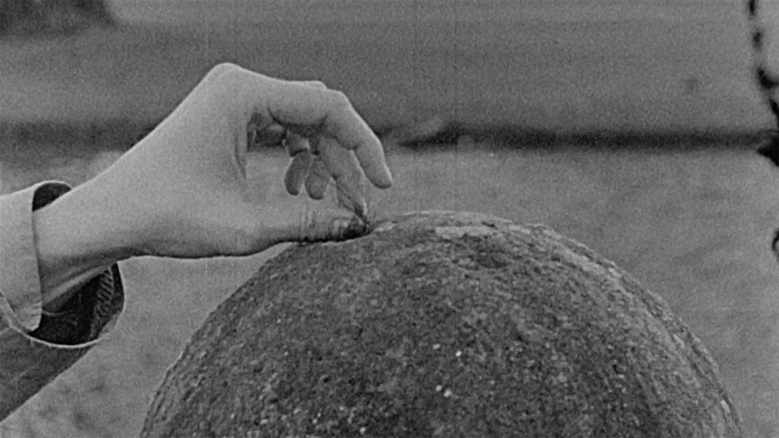 Fioritura, 16mm short film, 2023