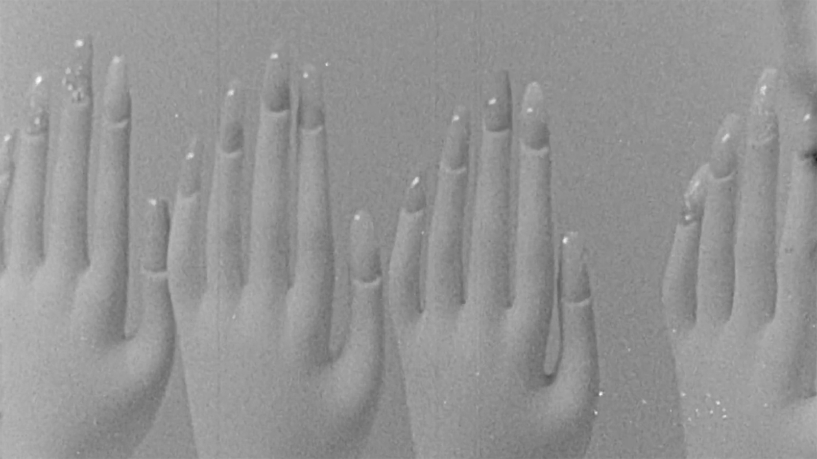 Fioritura, 16mm short-film, 2023