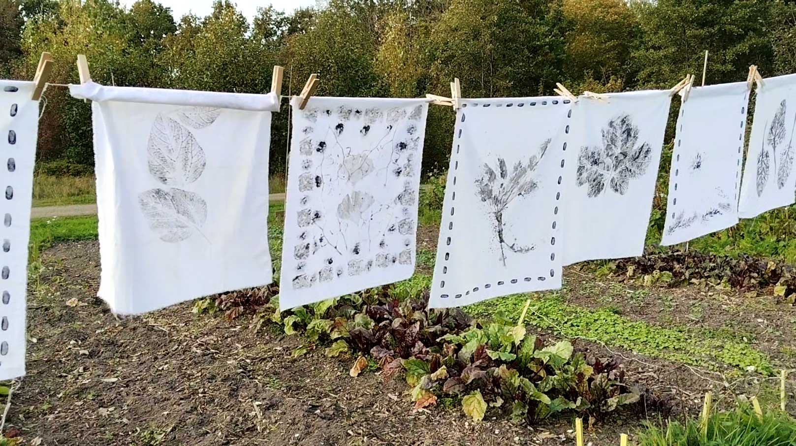 deelname kunstroute ecodorp Bergen