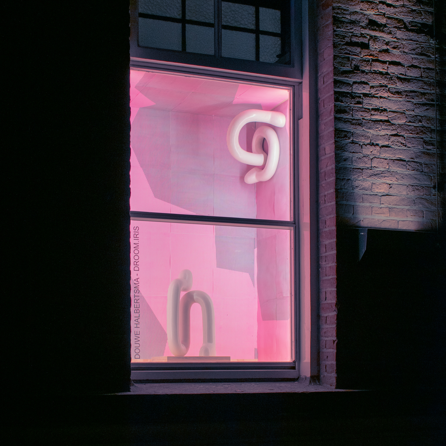 Douwe Halbertsma / Droom.Iris 2024, 'Glad to see you' Rotterdam