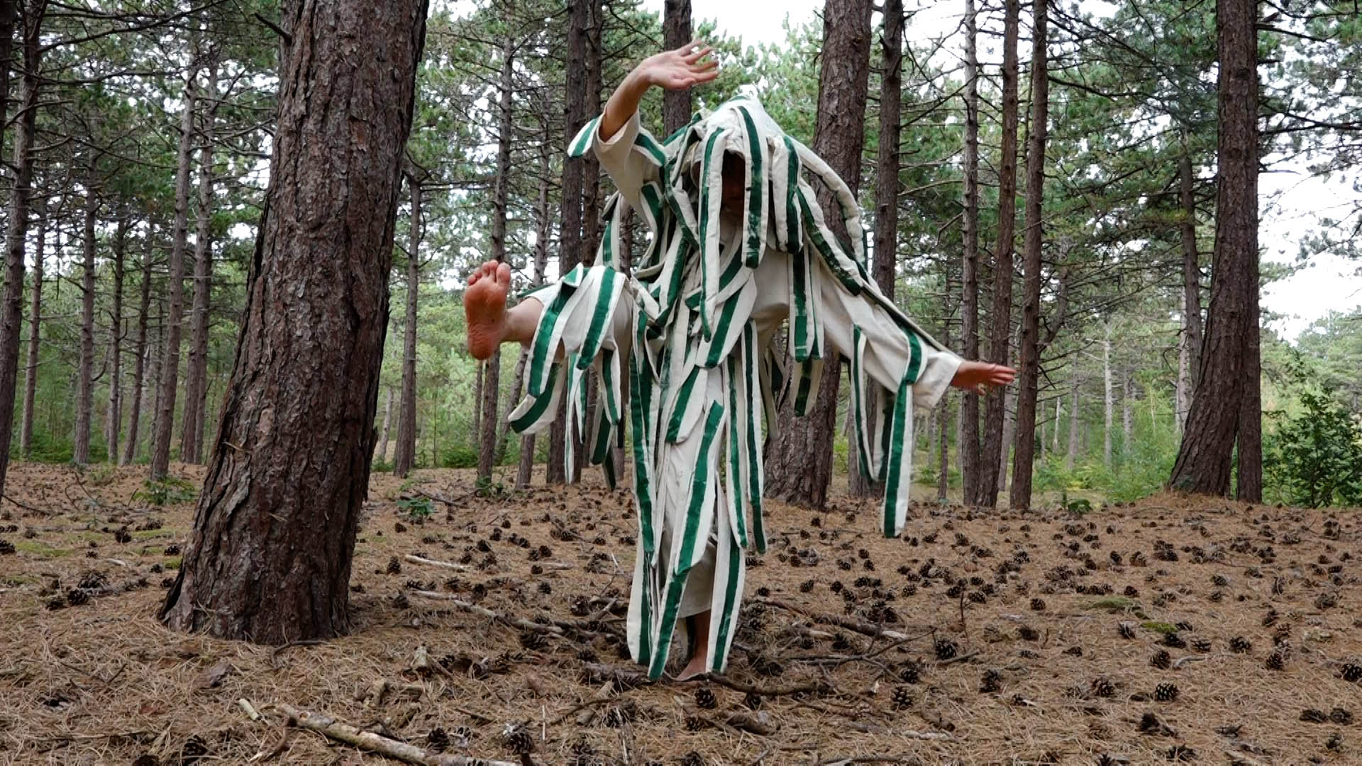 The Mudflat Species (2025)