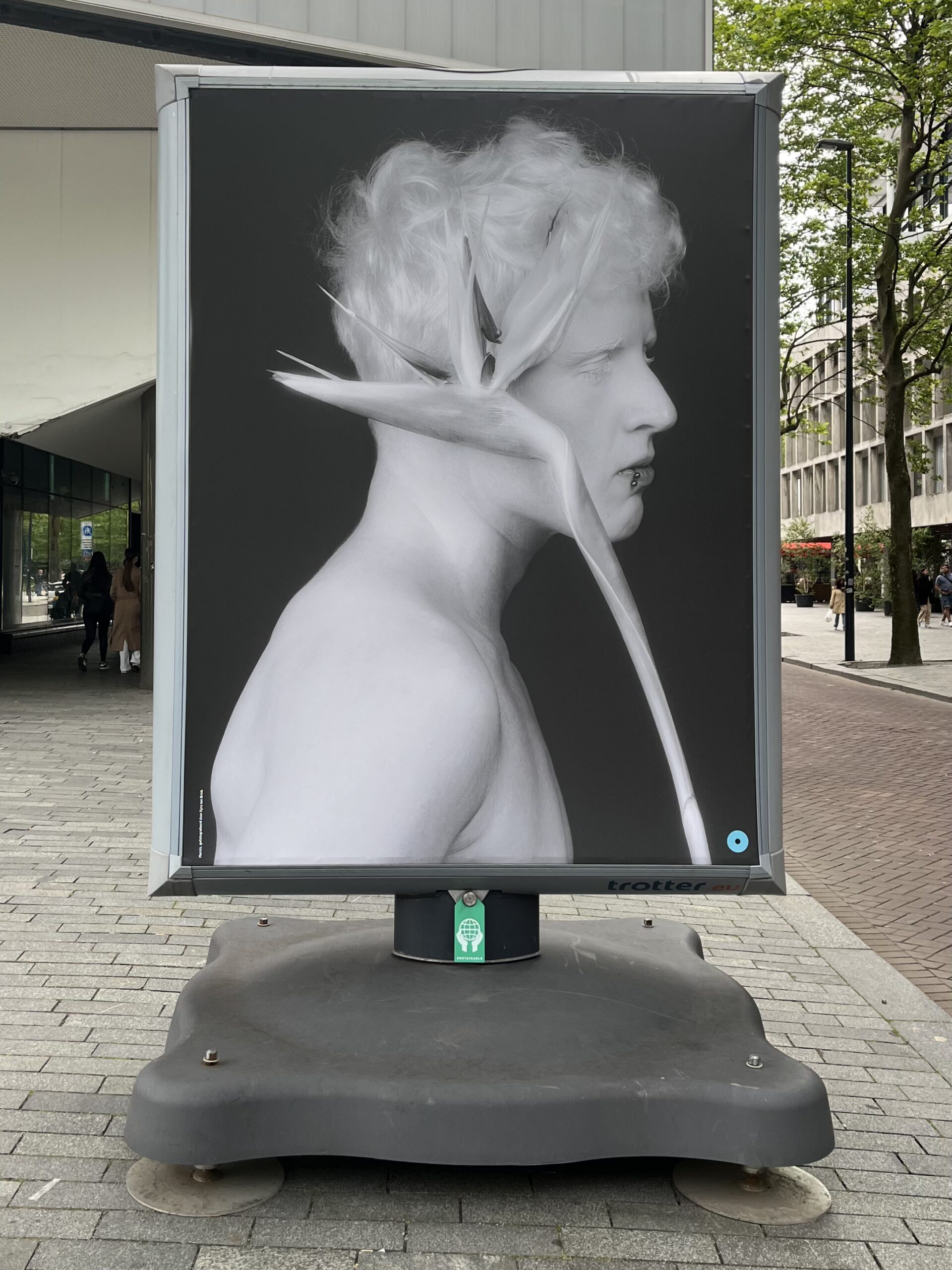 International Albinism Awareness Day 2024