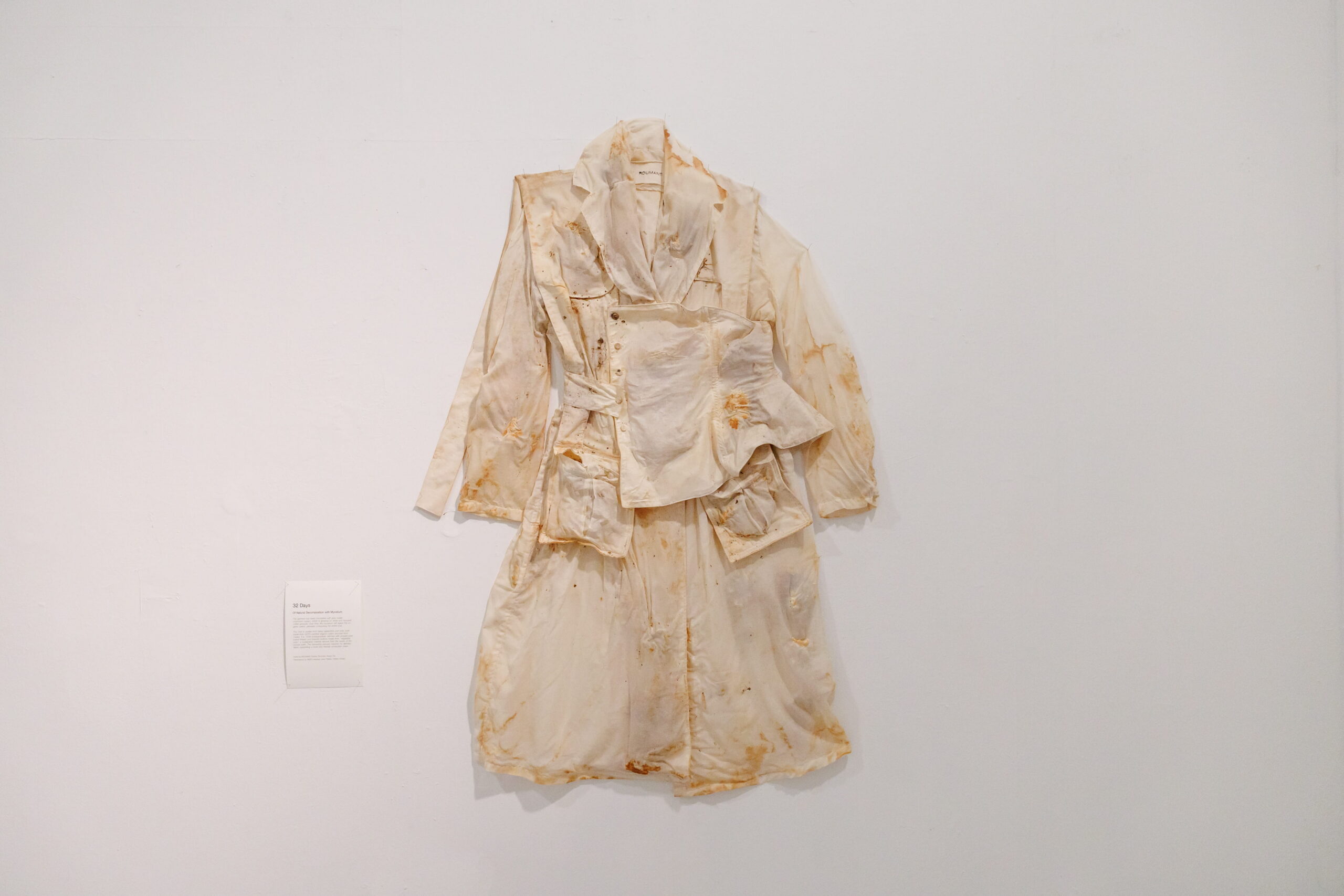 Atelier of Transience (2025)