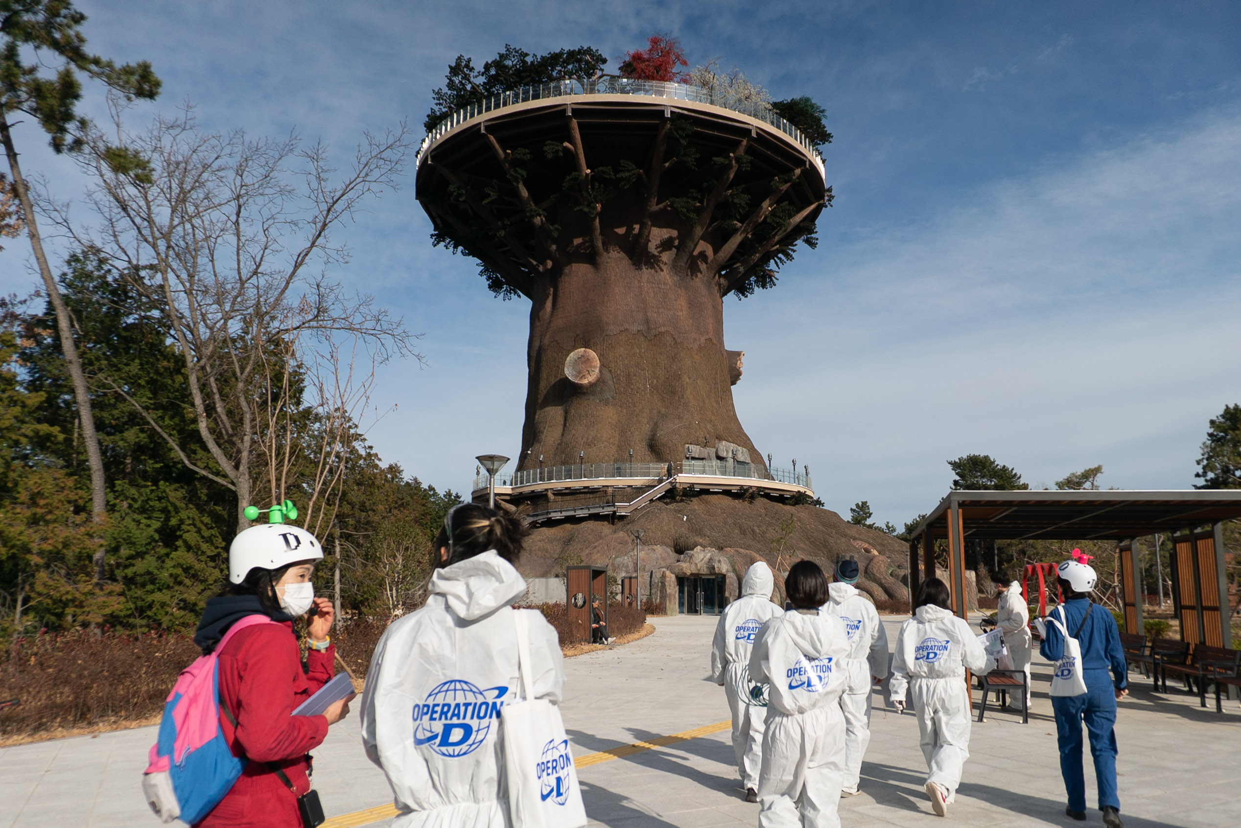 Operation D: In Search of the Lost D