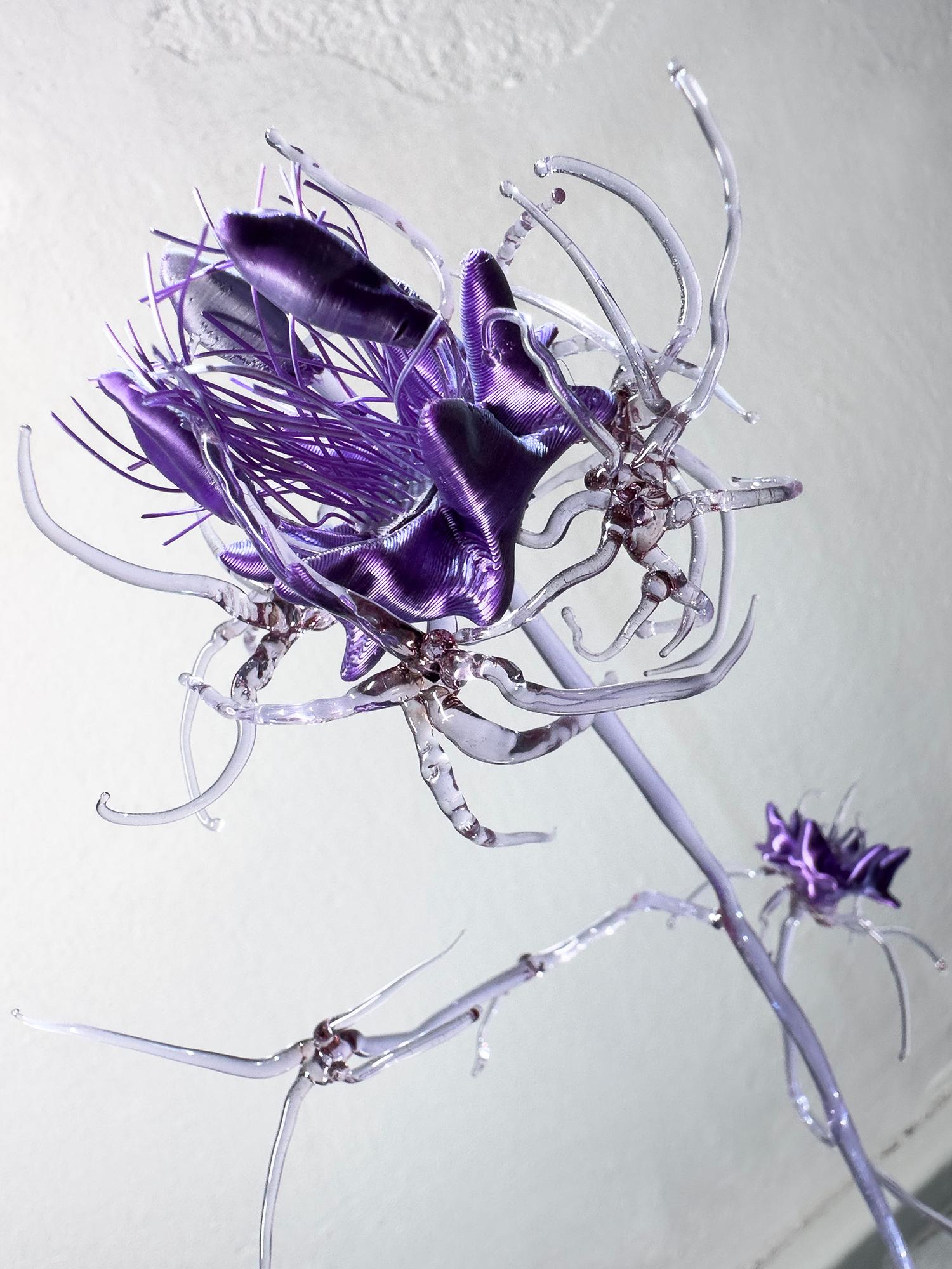 Bluet Flower