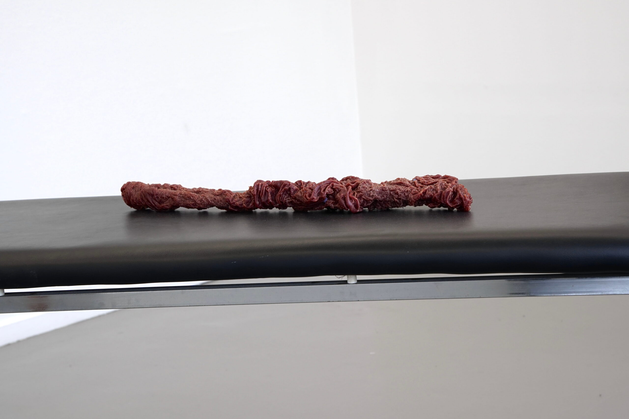 Ecdysis 2025