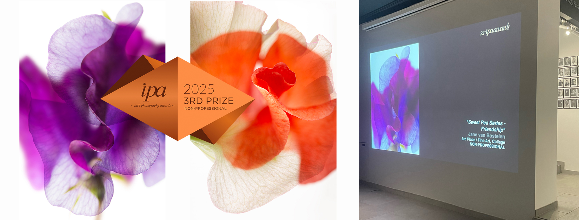 IPA International Photography Awards