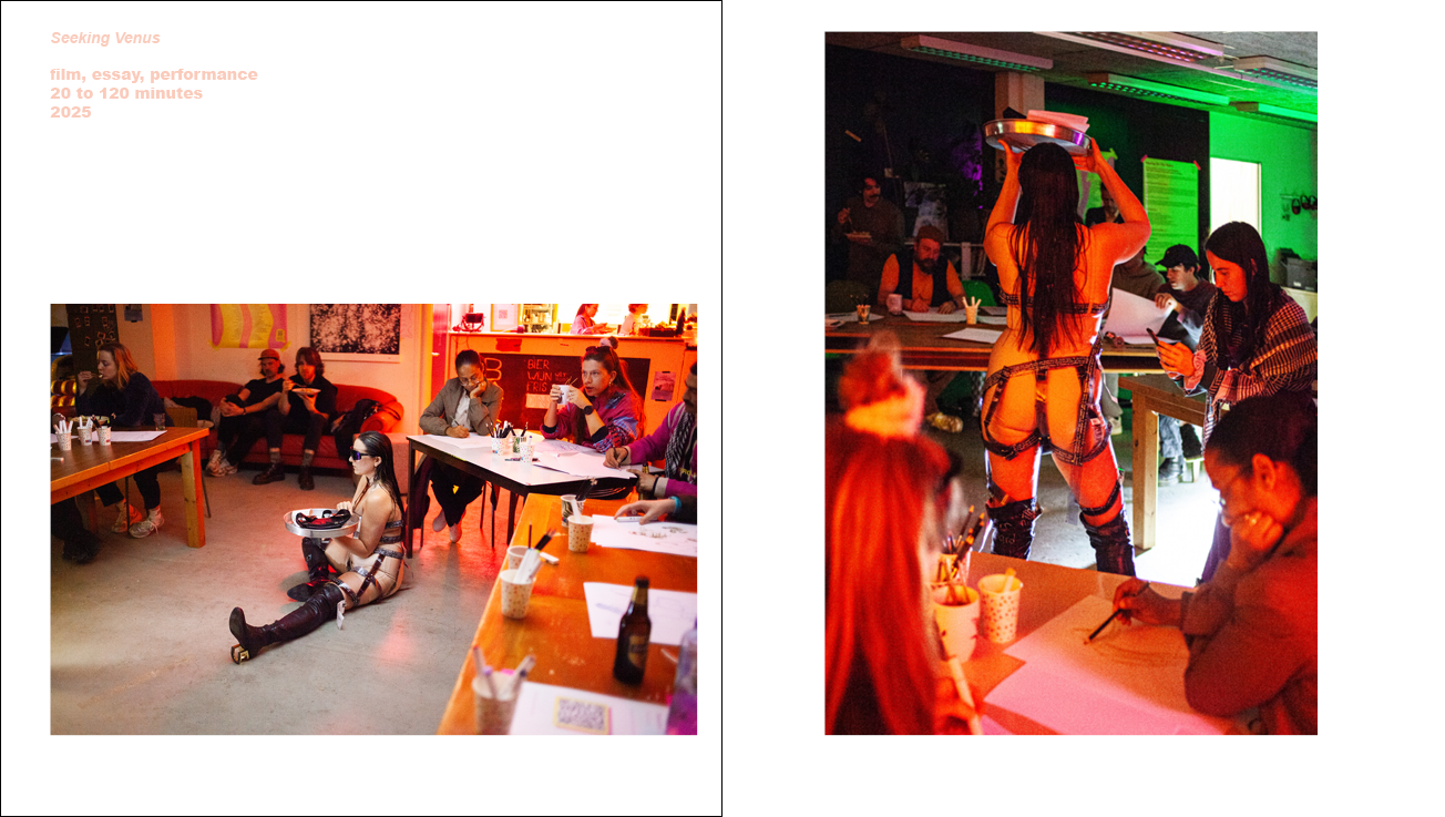 Seeking Venus - Only here for money