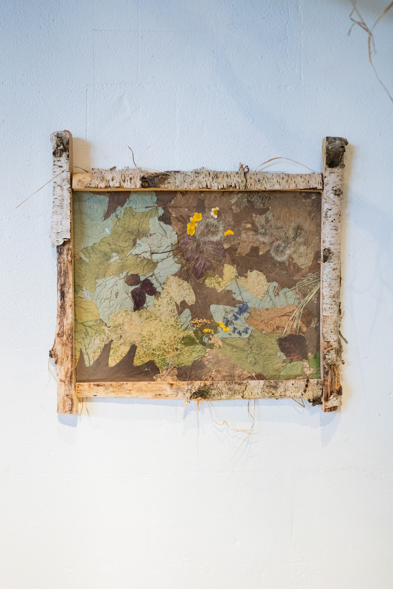 Springtime compositions II, 2024