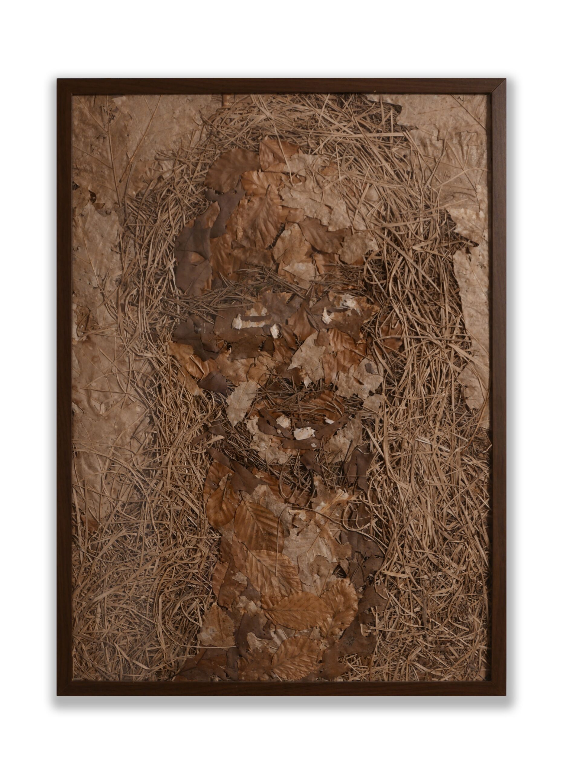 Self-portrait in foliage, 2024