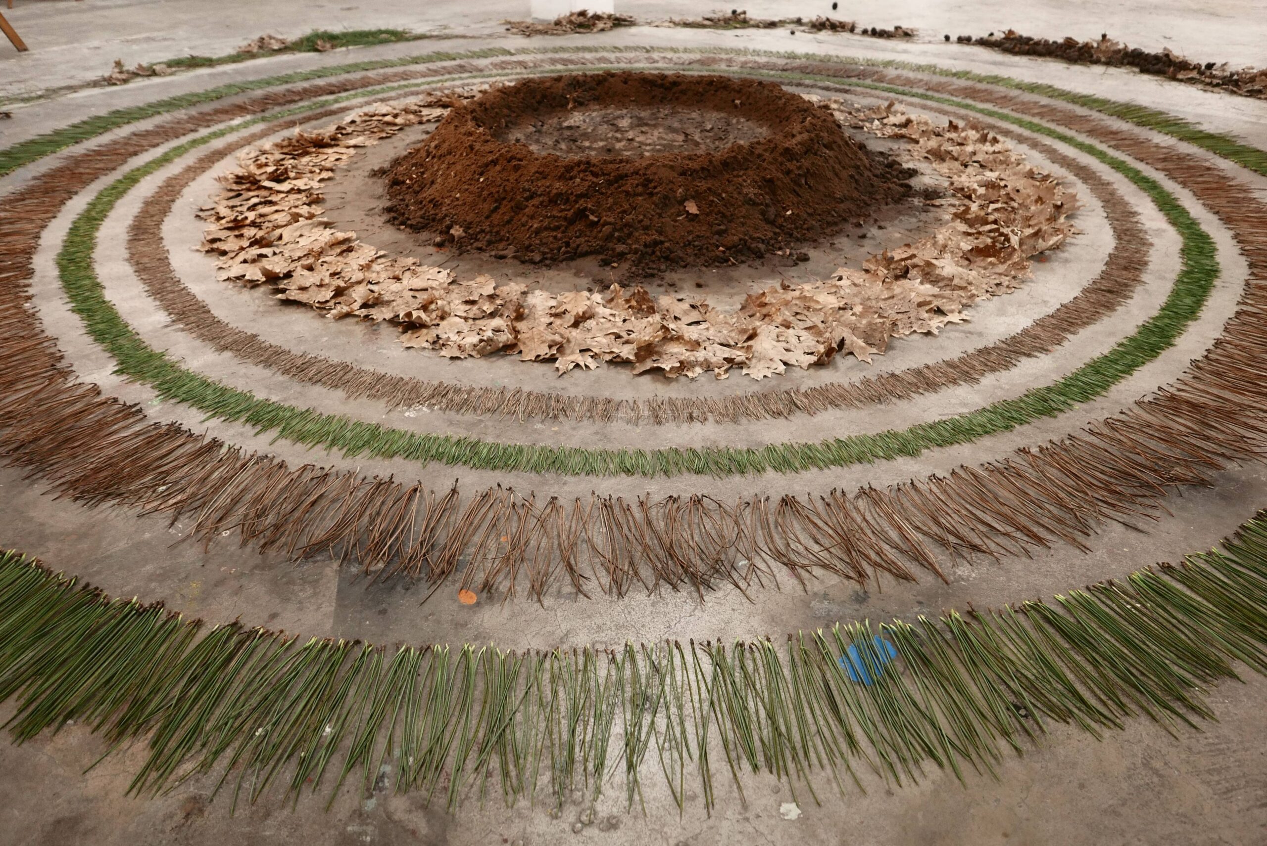 Stratumse Heide, 2023