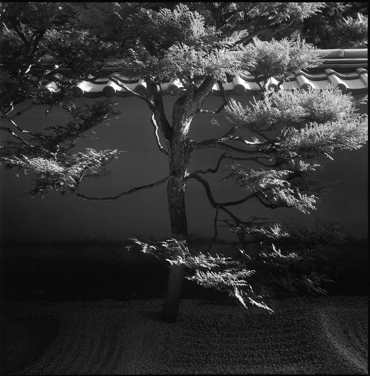 Ryōgen-in, Kyoto, Japan 2025