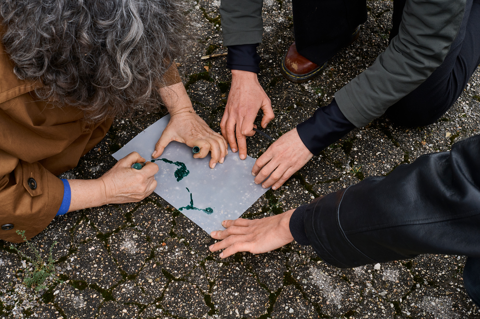 BECOMING A PIONEER PLANT (WORKSHOP) with Andrea Minchio-2025